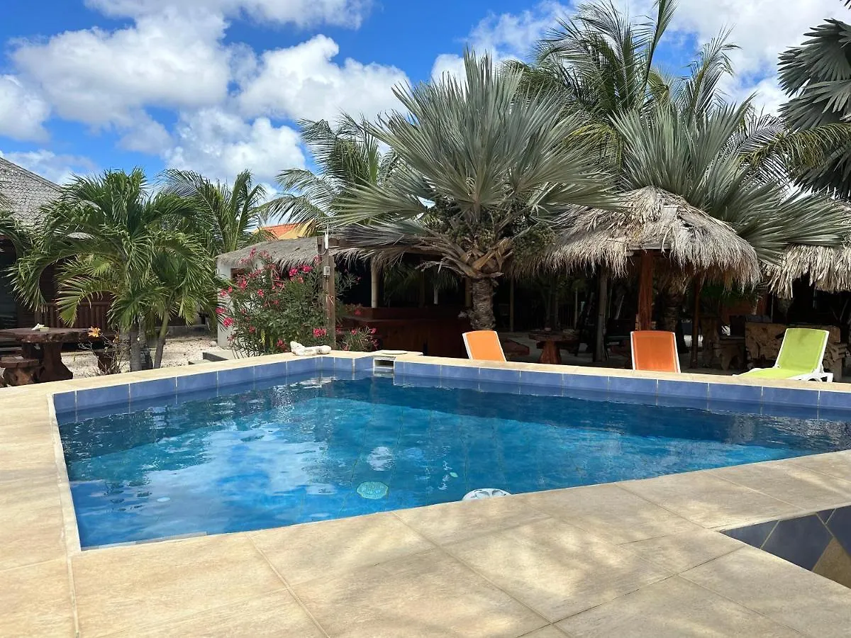 Apartment Studio - Begane Grond - Poolside Kralendijk